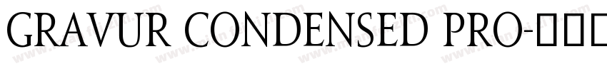 Gravur Condensed Pro字体转换